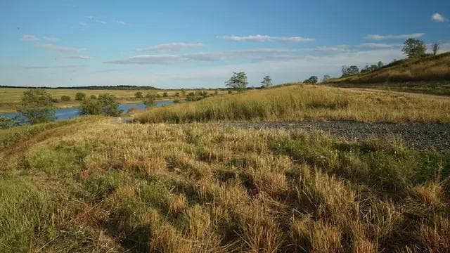 image from wind, freshkills park