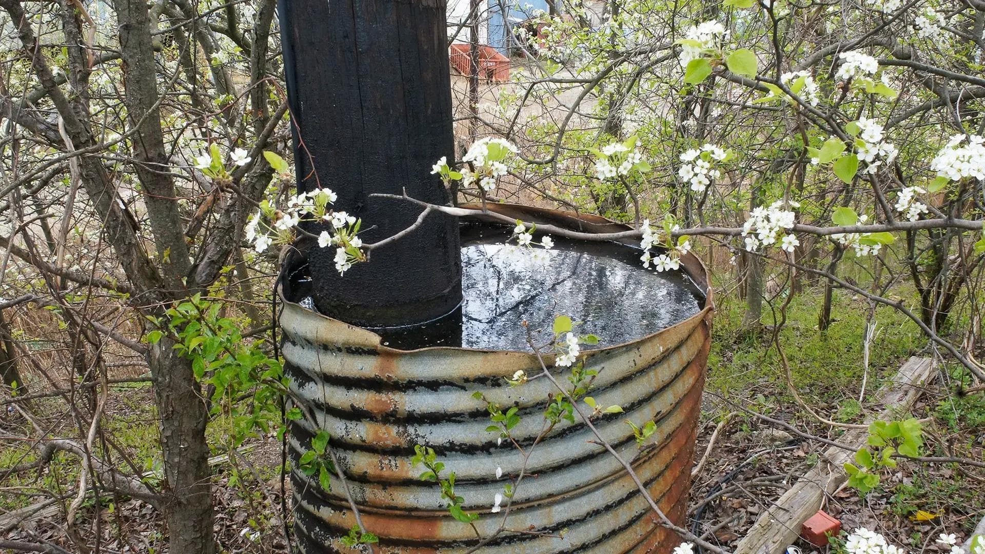 a rusted metal cylinder filled with water at the beginning of spring